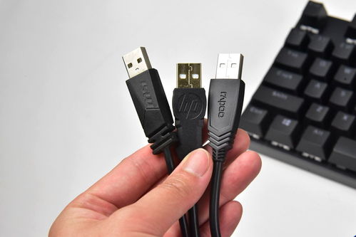 百元級熱門機械鍵盤怎么選 微星gk50z 惠普gk100 雷柏v500pro橫評