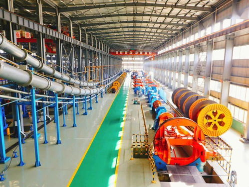 冠軍實(shí)力鑄就國家級榮譽(yù) 梅州軟件開發(fā)產(chǎn)業(yè)的崛起與展望